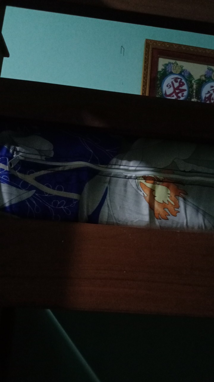 Kasur Busa Uk 200x80x15cm,  Busa Inoac Eon Lg D23