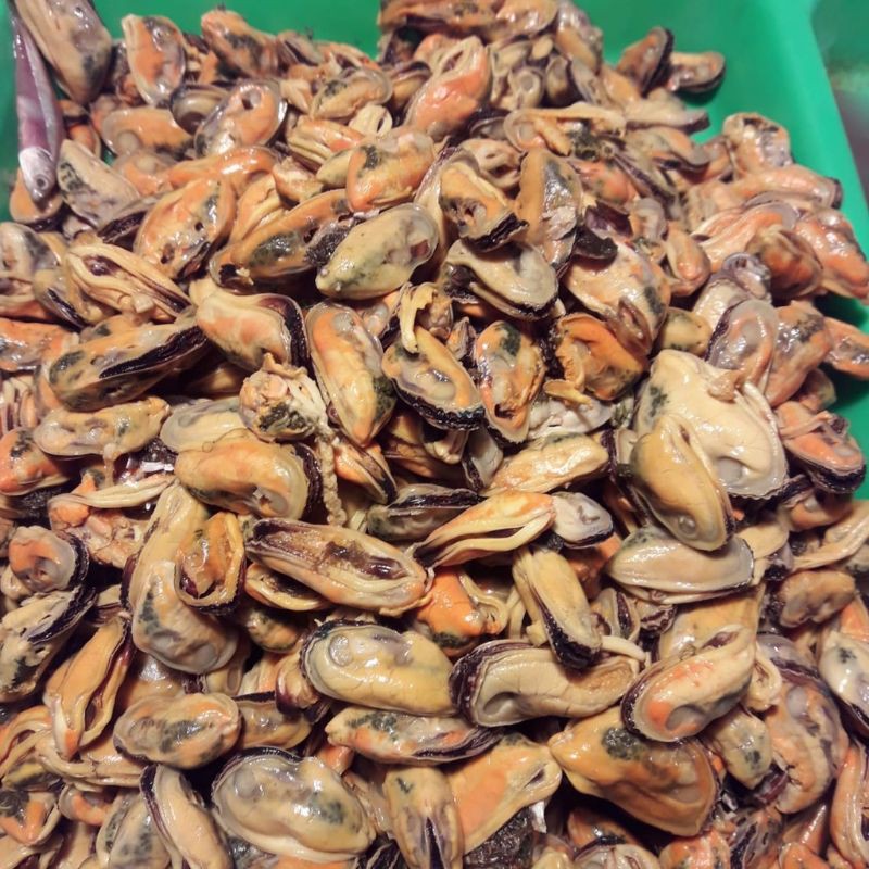 

kerang hijau kupas