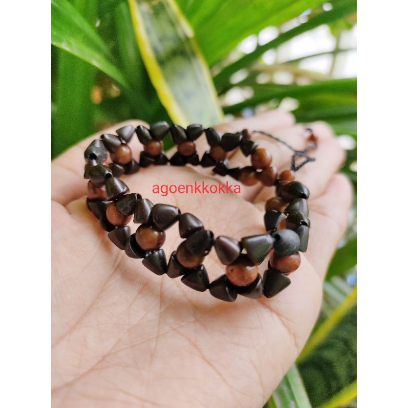 Gelang angrek kokka kaokah