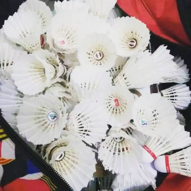 Kok Murah Harga 1 Pcs