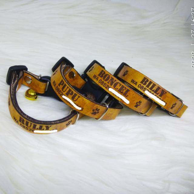 Kalung kucing nama kulit Shopee Indonesia Kalung kucing nama kulit Shopee Indonesia