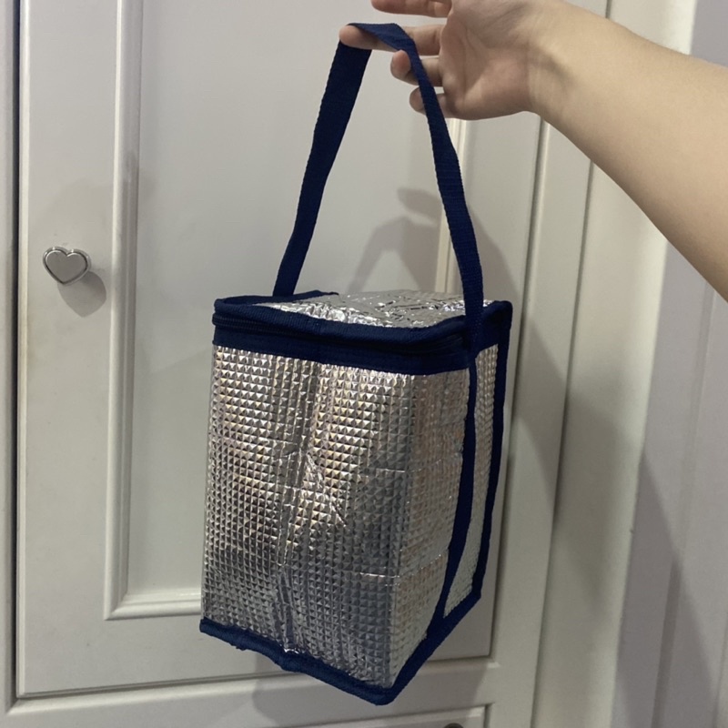 Cooler bag tas pendingin makanan / minuman