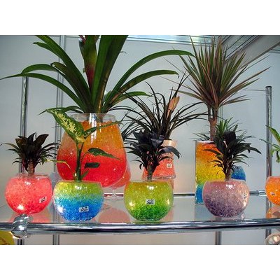 hidrogel / media tanam