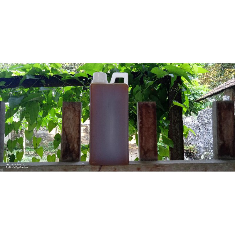 

Madu Trigona 1 Liter