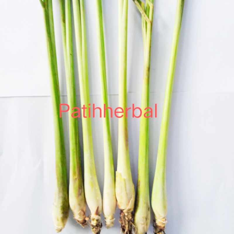 

Serai Segar Fress Super wangi Bumbu Dapur per 5 Tangkai