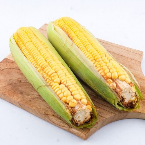 

JAGUNG MANIS SAYURAN SEGAR 2 PCS/JAGUNG MANIS KUPAS FRESH DAN SEGAR