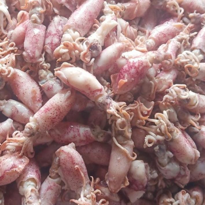 

Promo - Ikan asin cumi Beby 500gr 1sampai 4cm/cumi asin baby /rebus/basa/cumi asin kecil