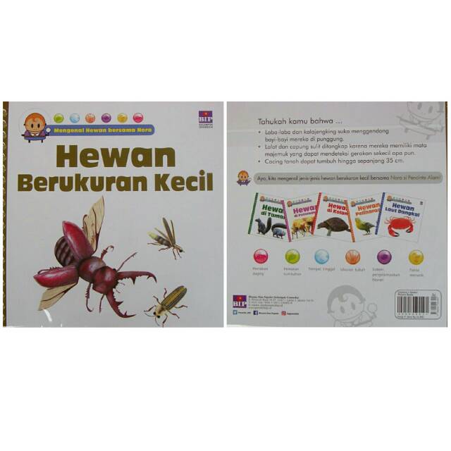 Mengenal Hewan Bersama Nora Hewan Berukuran Kecil Shopee Indonesia