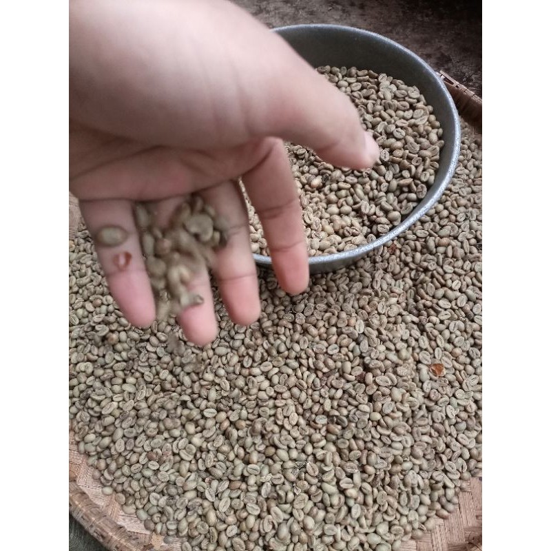 Kopi Biji Robusta Temanggung Green Bean Robusta Kopi Mentah Siap Sangrai Bahan Baku Kopi Bubuk