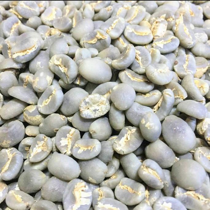 

[ COD ] biji /greenbean arabica gayo speciality super premium TERBARU Kode 695