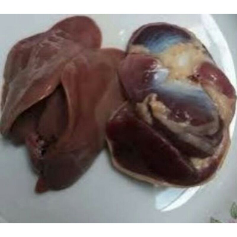 

Ati Ampela Ayam/psng