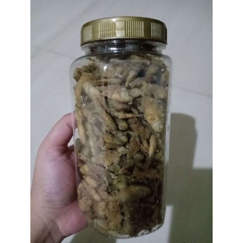 

Ikan Nila Baby