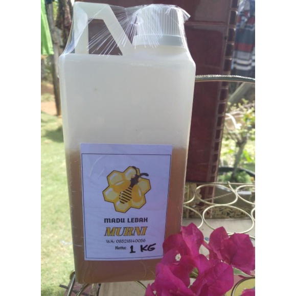 

Madu Lebah Murni 1 Kg