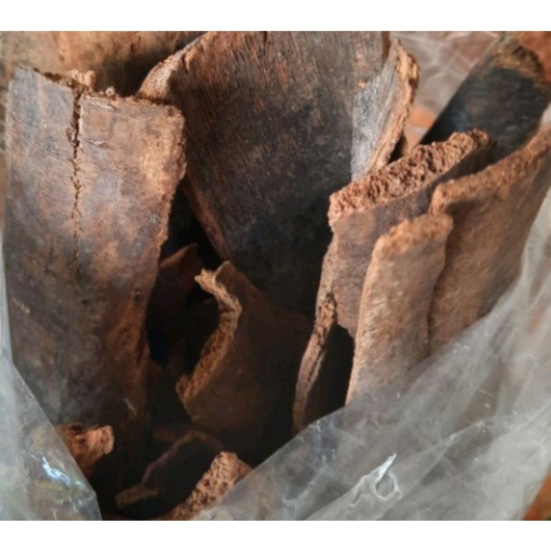 

Kulit Kayu Masoyi 500gr / Kulit Kayu Mesoyi / Kulit Kayu Masohi Asli Murni