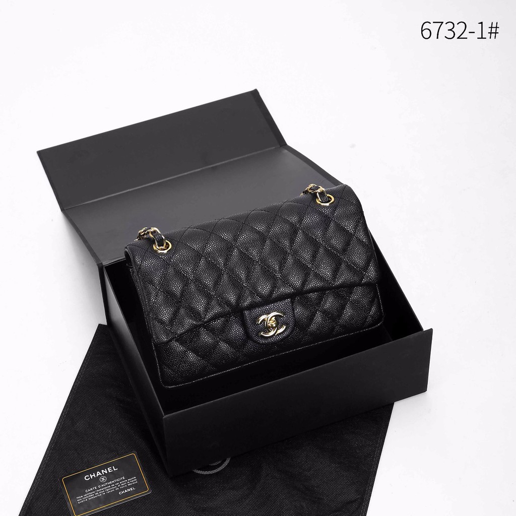 Chanel Classic Medium Flap 6732-1