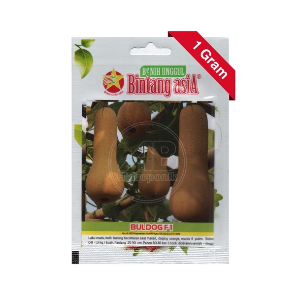 Benih Butternut Labu Madu Buldog F1 Bintang Asia