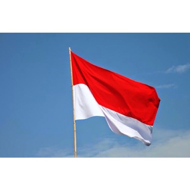 BENDERA MERAH PUTIH Termurah Berbagai Ukuran Bendera Kain RI Indonesia 90 X 135 CM