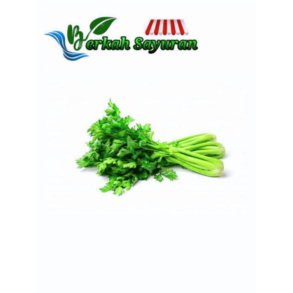 

Sayur sledri