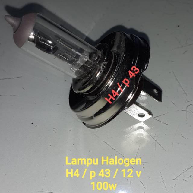 Bohlam Lampu Halogen Mobil 12v