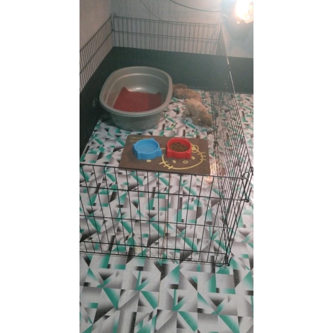 KANDANG PAGAR  KUCING ANJING 60x50 Jumbo Besar Murah pagar tanaman hewan besi kelinci peliharaan-3