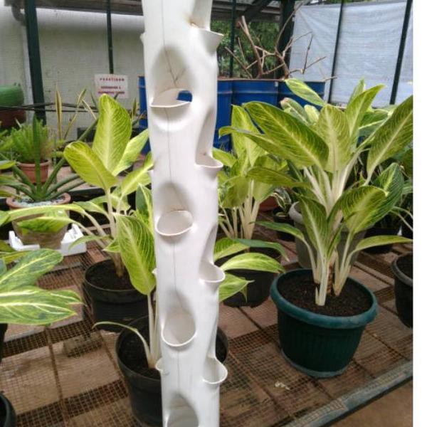 Lagi Tren.. Pot halaman Pipa Paralon