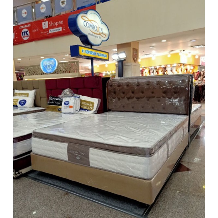 Comforta Premier fresh Limited edition Full Bed Set 100/ 120/ 140/ 160/ 180/ 200
