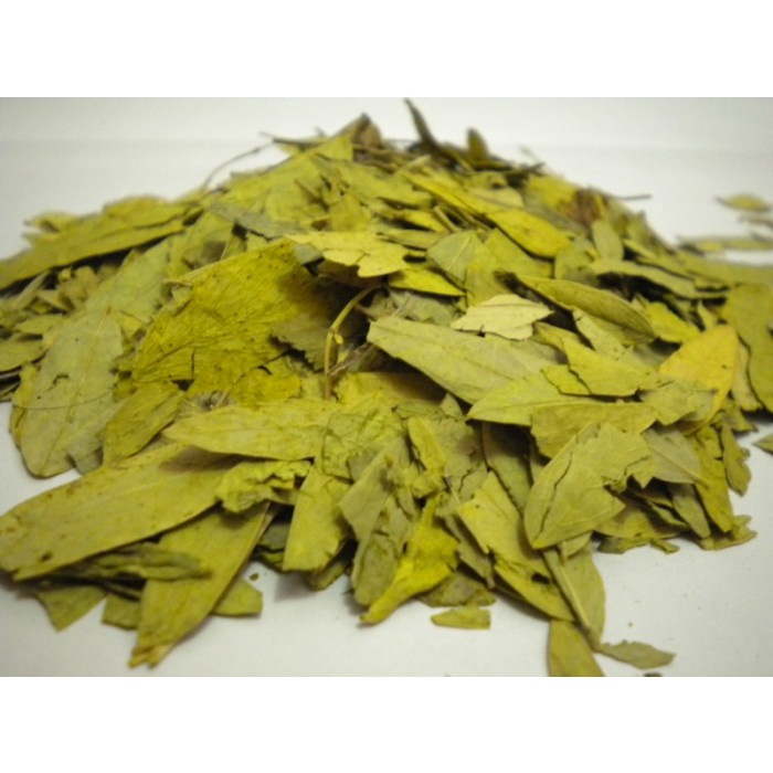 

Bubuk Daun Jati Cina 250 g Simplisia Serbuk Senna Leaf