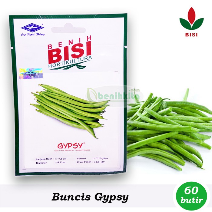 Benih-Bibit Buncis Perdu Gypsy (BISI)
