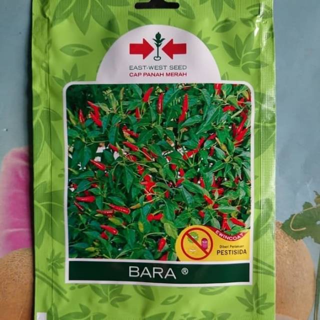 Bibit Benih Cabe Rawit Hijau BARA 500bj
