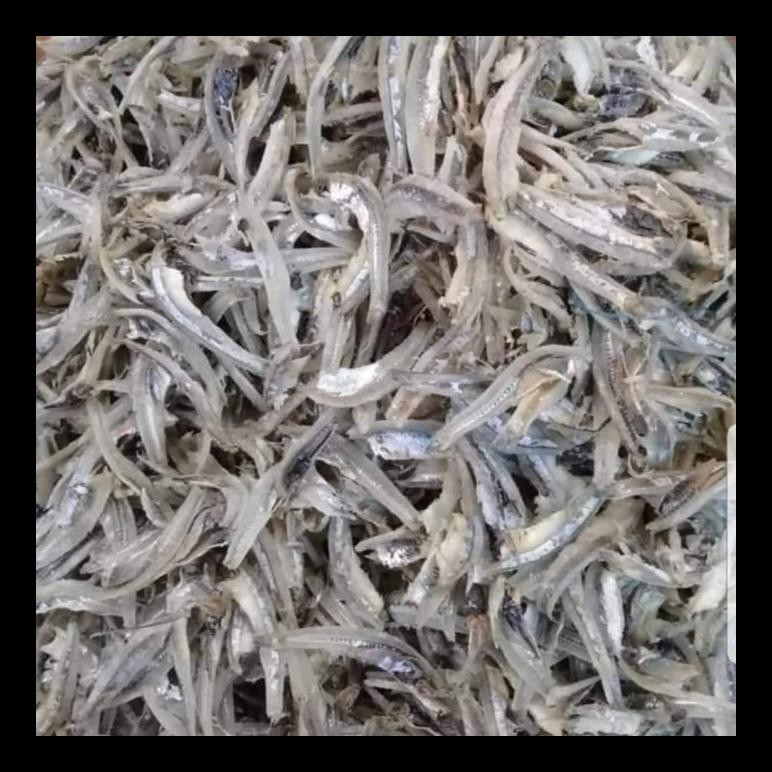 

PROMO! TERI JENGKI BELAH PER 1KG MURAH
