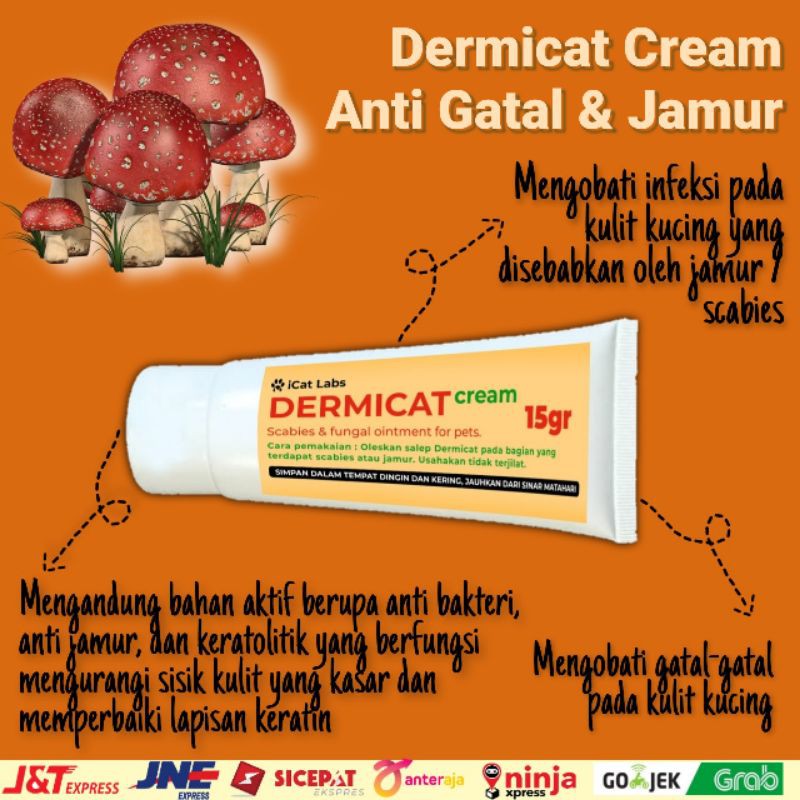 Obat Kulit Gatal Jamur Kucing Infeksi Shopee Indonesia