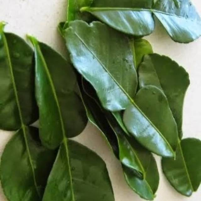 

Daun jeruk perbungkus (10 gram)