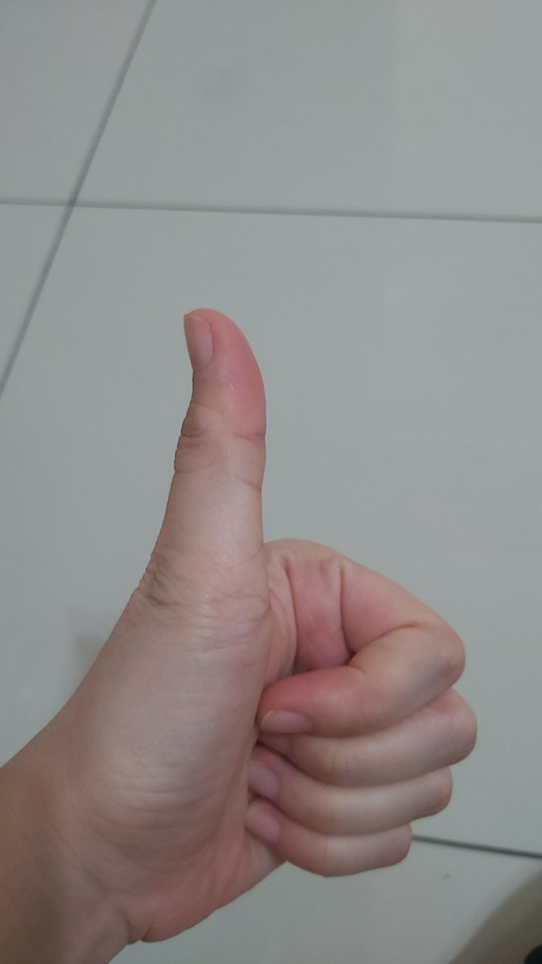 Payung Lipat 3 Polos Super Murah Kuat Kokoh Anti Angin C3 Anti Uv