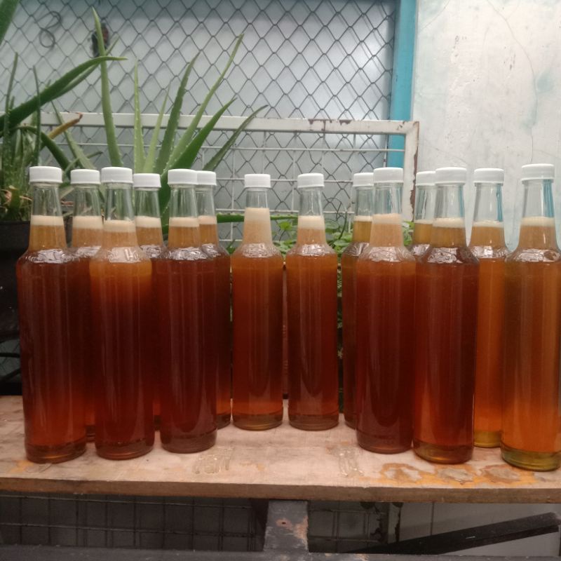 

Madu Hutan Liar Tawon Gung (460 ml)