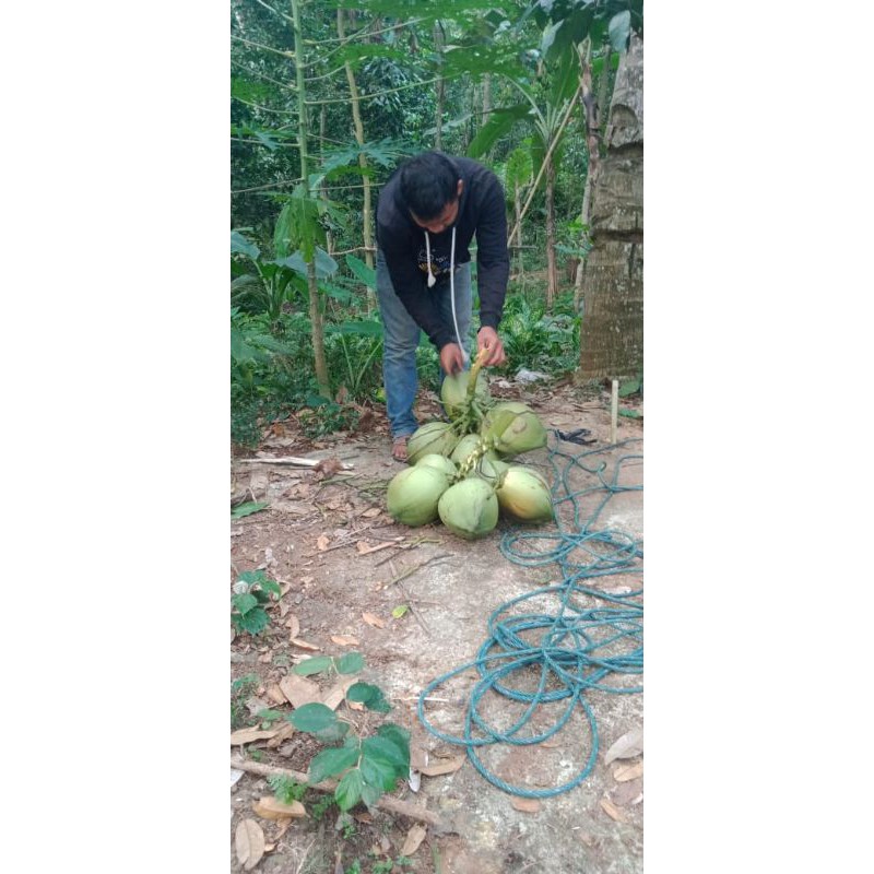 

kelapa muda CM