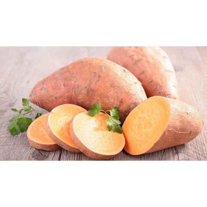 

Ubi jalar berkualitas - 1 kilogram