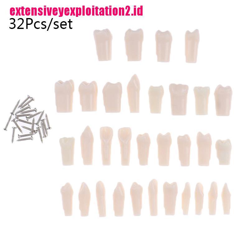 &lt; E2id &amp; &gt; 32Pcs / set Model Simulasi Gigi Bahan Resin Untuk Alat Bantu Mengajar