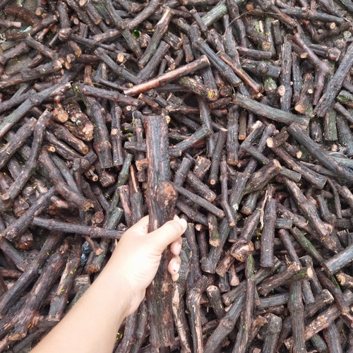 Fresh Cutting Anggur Jenis ALFONSO