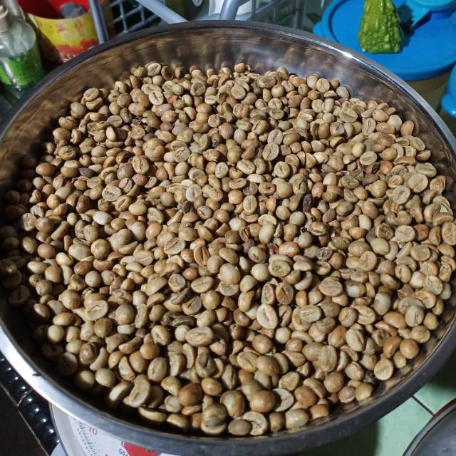 

BIJI ROBUSTA ENAK