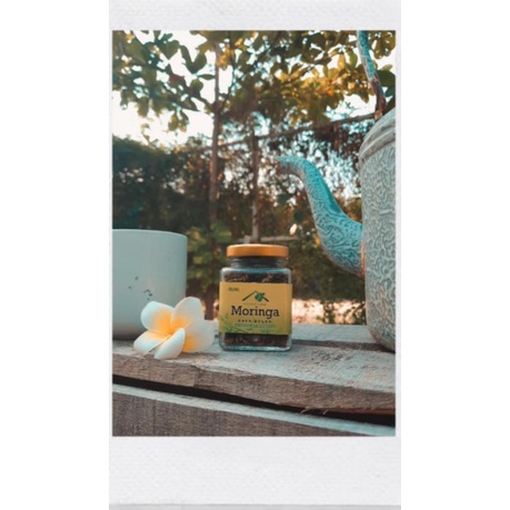 

Teh Daun Kelor Dengan Varian Rasa