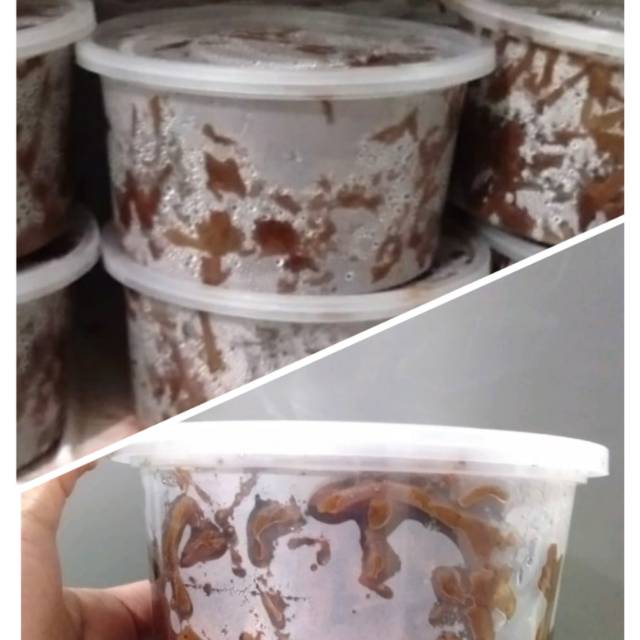 

Gudeg