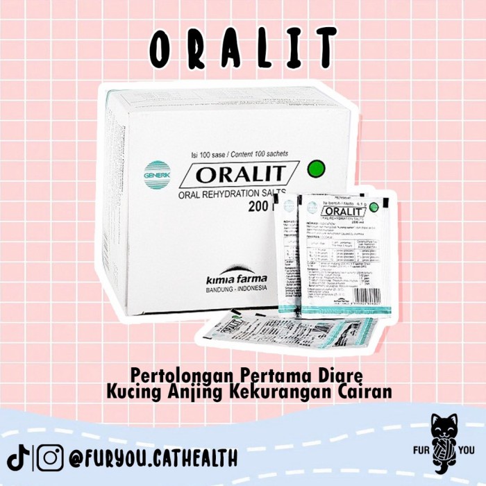 Oralit Kucing Pertolongan Pertama Dehidrasi