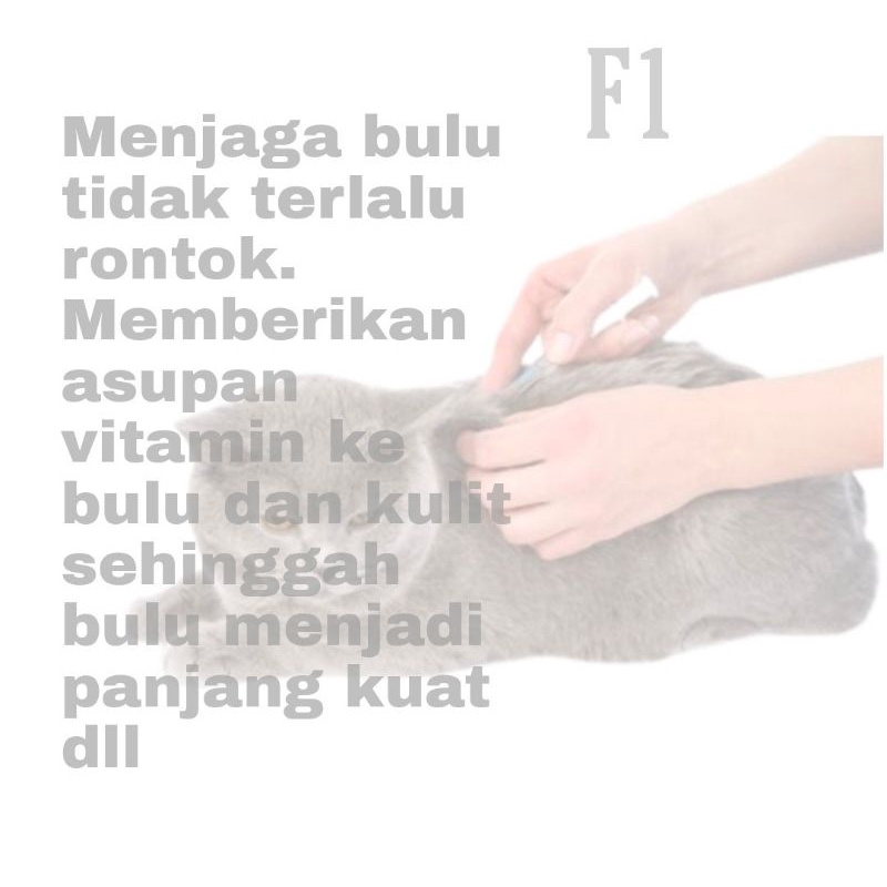 Vitamin/Suplemen  Kucing F1 Untuk Pelebat Bulu Napsu Nafsu makan pencernaan Penggemuk Rontok