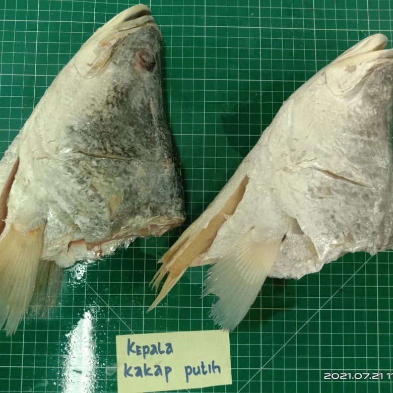 

22 Seafood - Kepala Kakap Putih 1kg