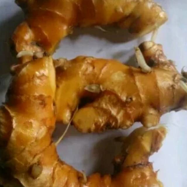 

Jual umbi atau kunyit rimpang panglai segar fresh