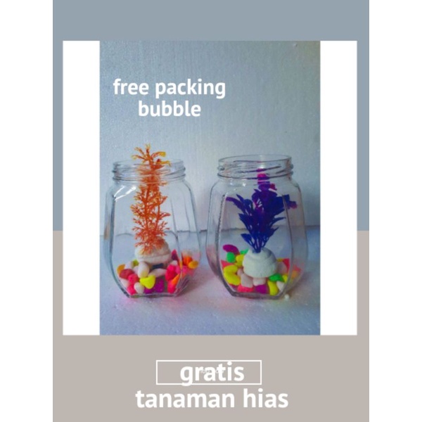 Toples kaca segi 6 Akuarium mini tempat ikan hias, ikan cupang dll