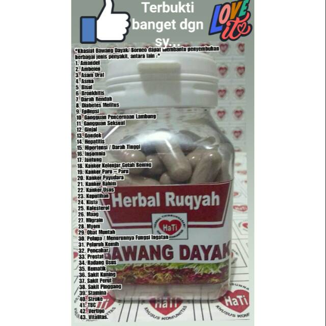 

Kapsul Bawang Dayak