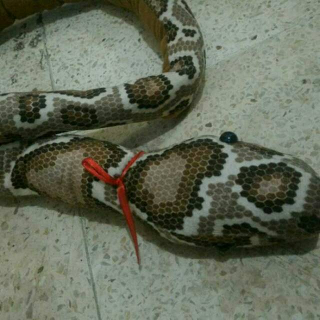 Boneka ular