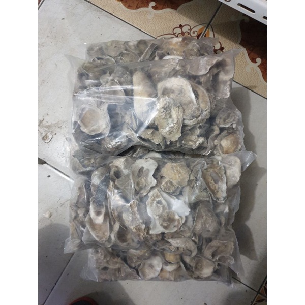 Oyster Shell / Kulit Kerang Media Filter
