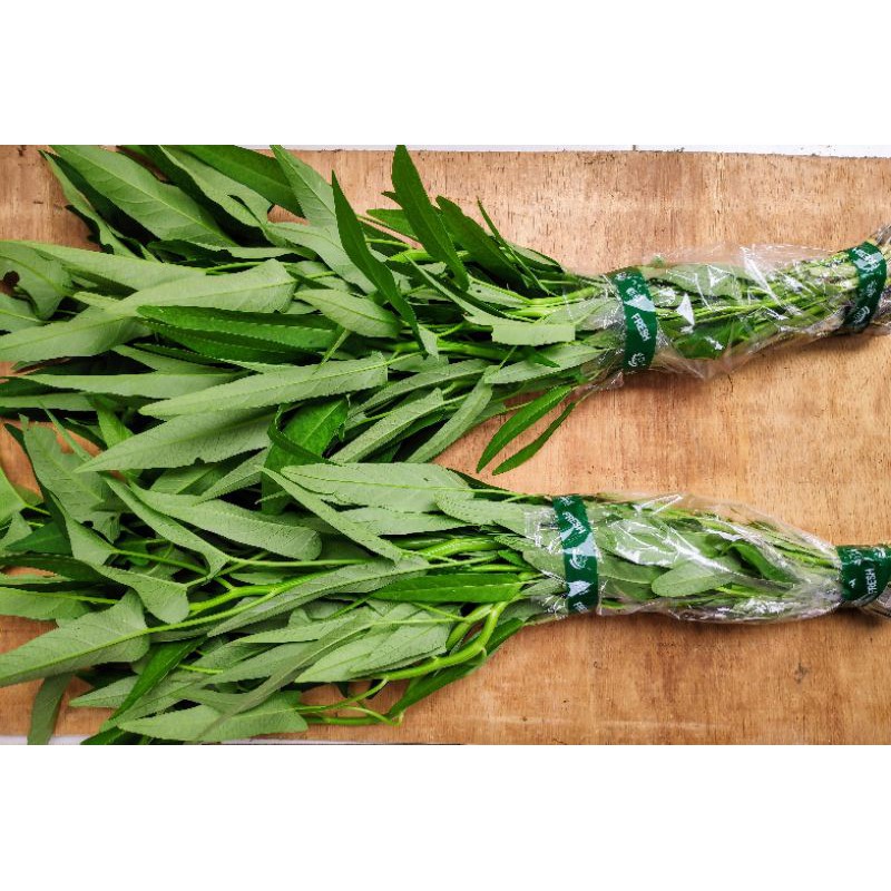 

kangkung